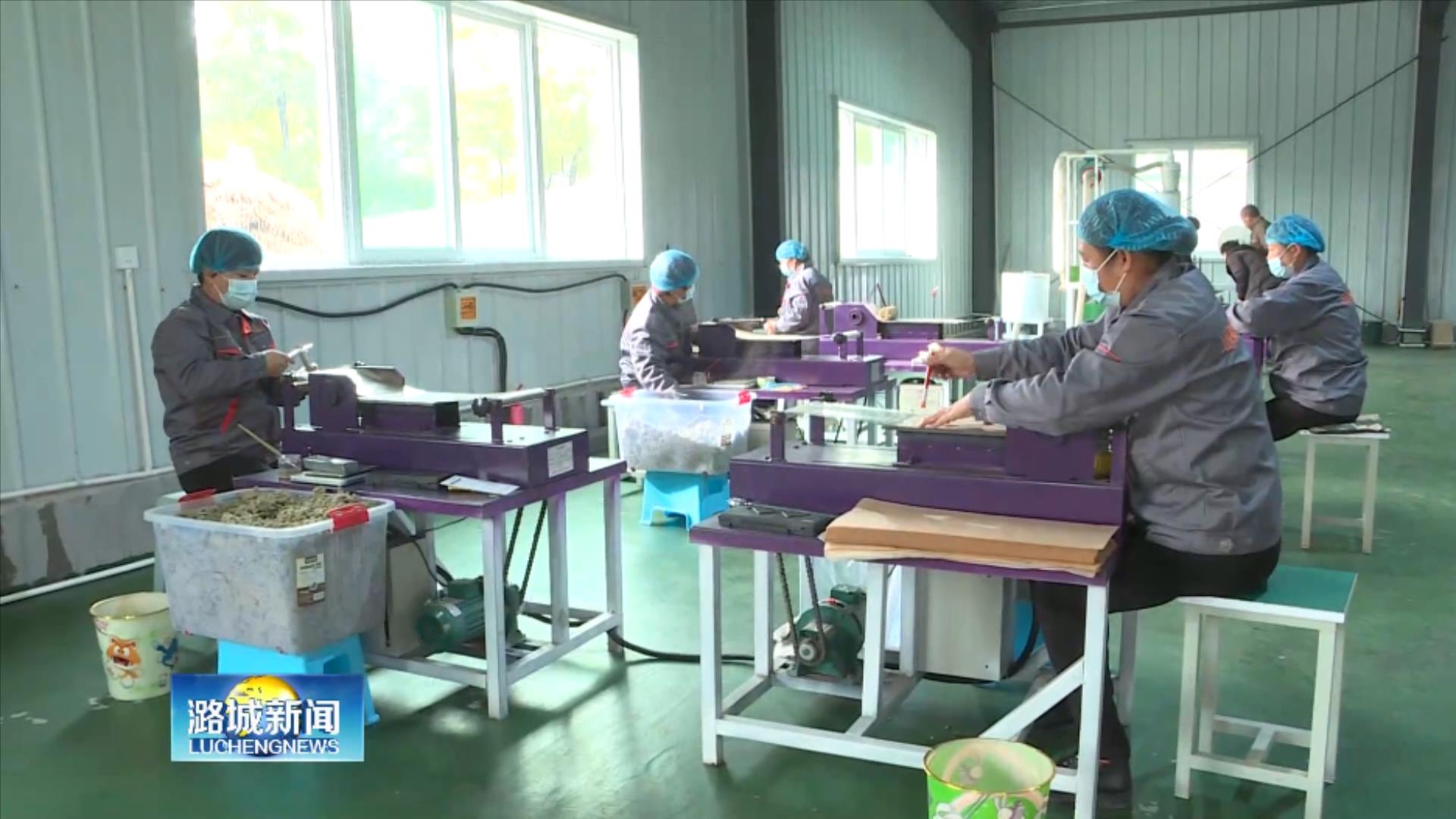 青青艾草香 脱贫致富忙