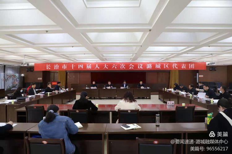 我区市人大代表和政协委员认真审议讨论《政府工作报告》