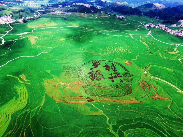 关于乡村振兴，总书记这样强调