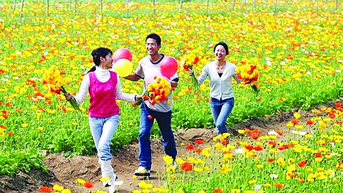 春和景明 最是踏青好时节