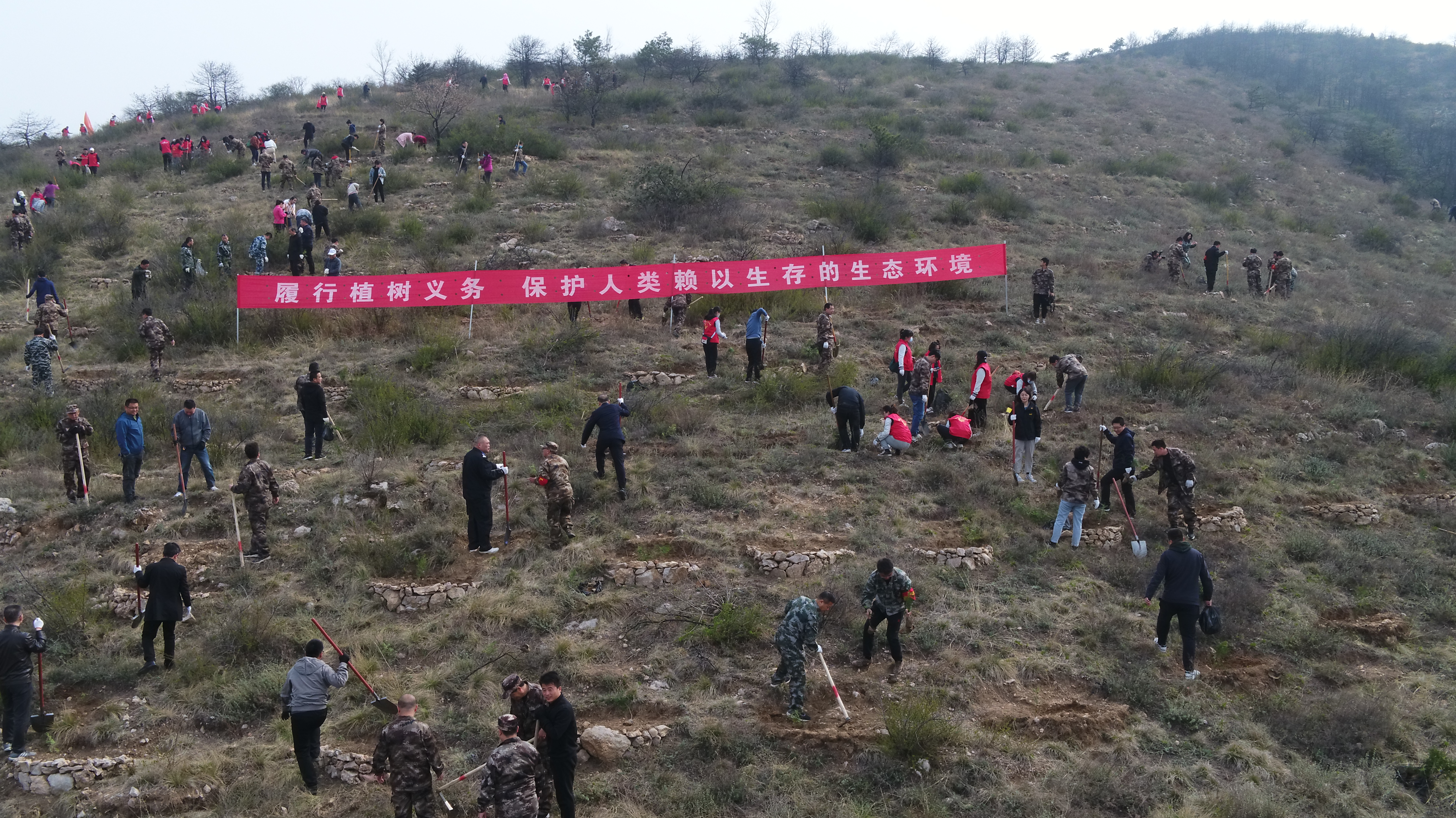 我区开展2021年春季义务植树活动