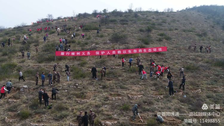 我区开展2021年春季义务植树活动