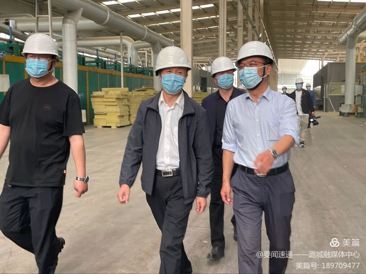 市政协入企服务调研组到我区进行调研