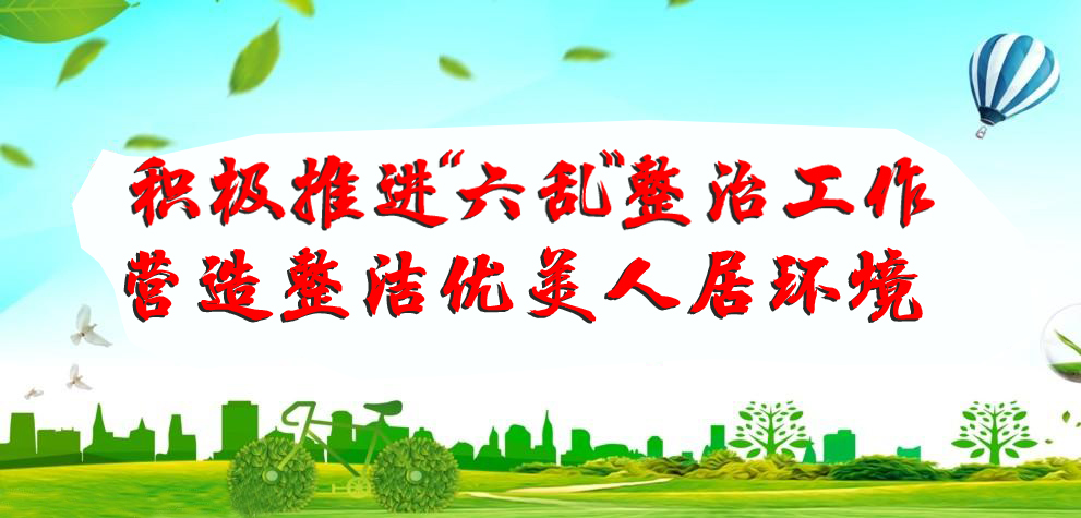 [奋斗百年路 启航新征程] “六乱”整治顺人心 百日攻坚重在“行”