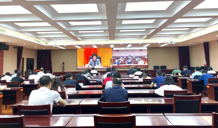 我区收听收看国务院未成年人保护工作领导小组第一次全体会议电视电话会