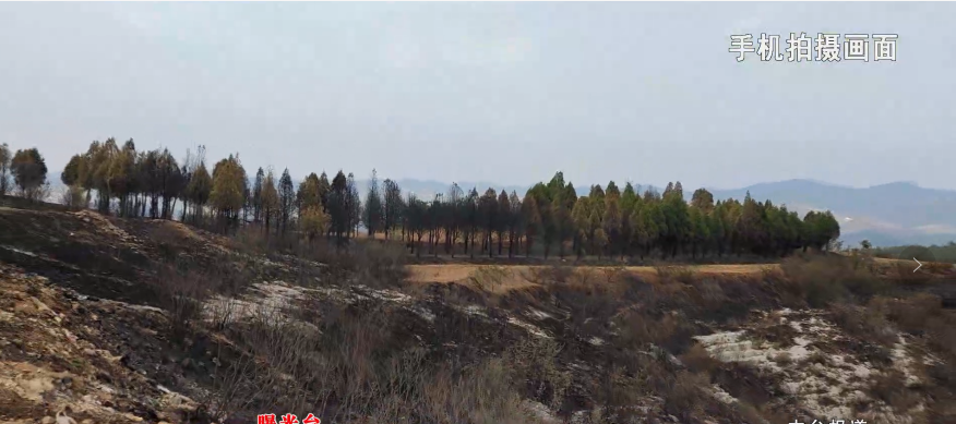 筑牢森林防火堡垒  严守生命安全底线