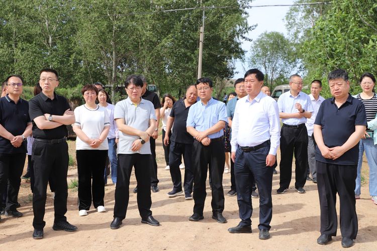 市人大常委会在我区视察高标准农田建设项目