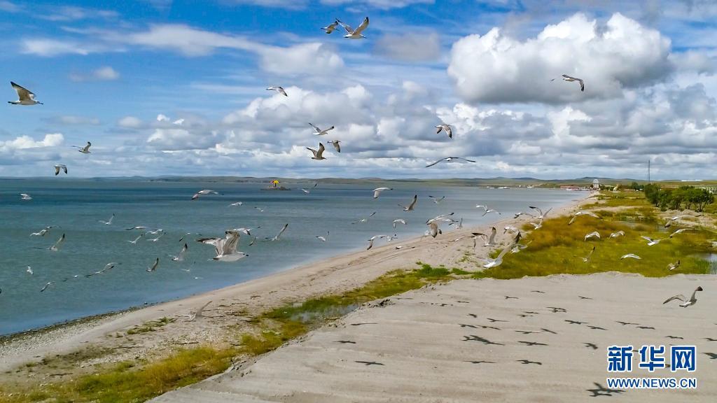 建设人与自然和谐共生的美丽中国——以习近平同志为核心的党中央推进生态文明建设纪实