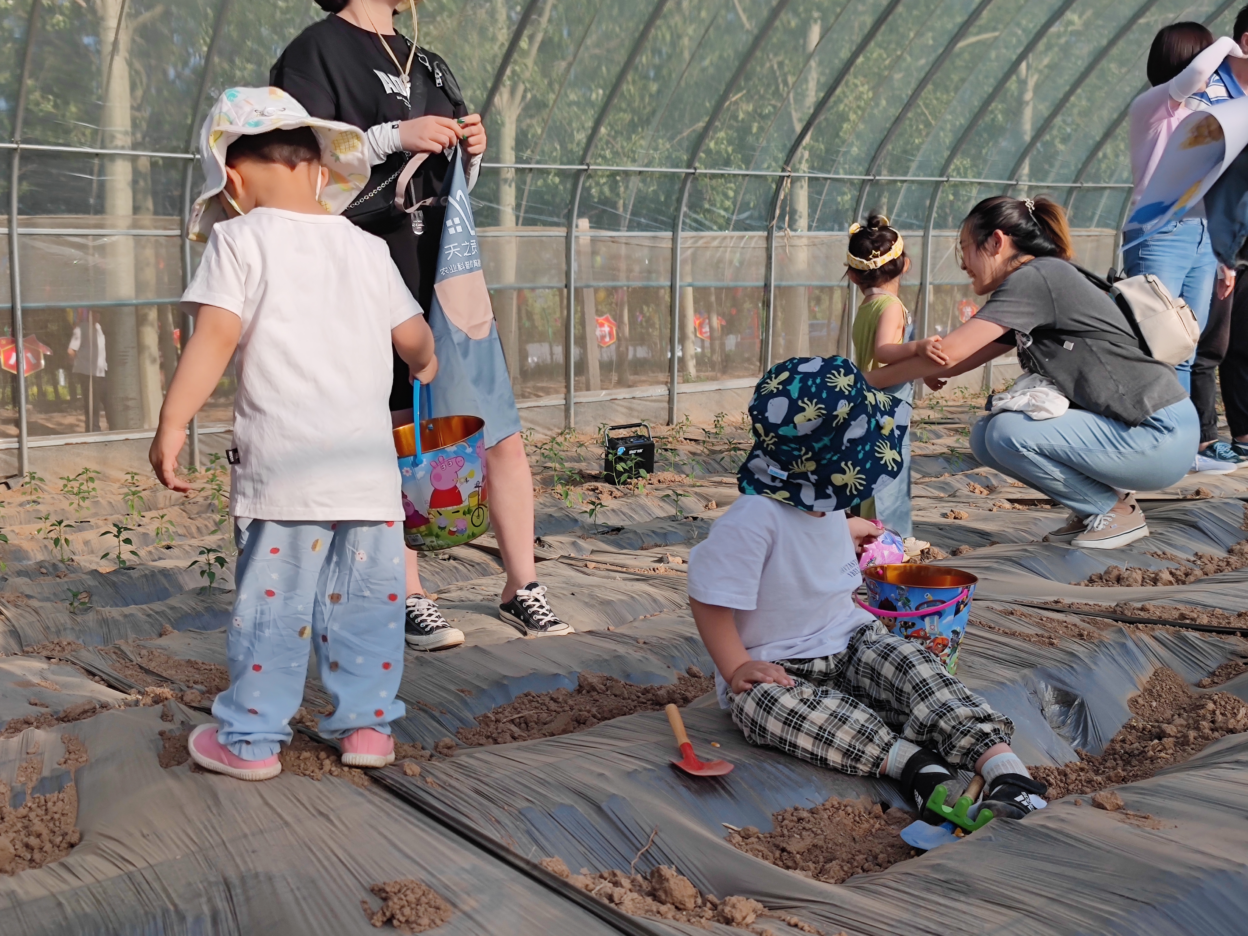 疯狂农场  趣味田园生活