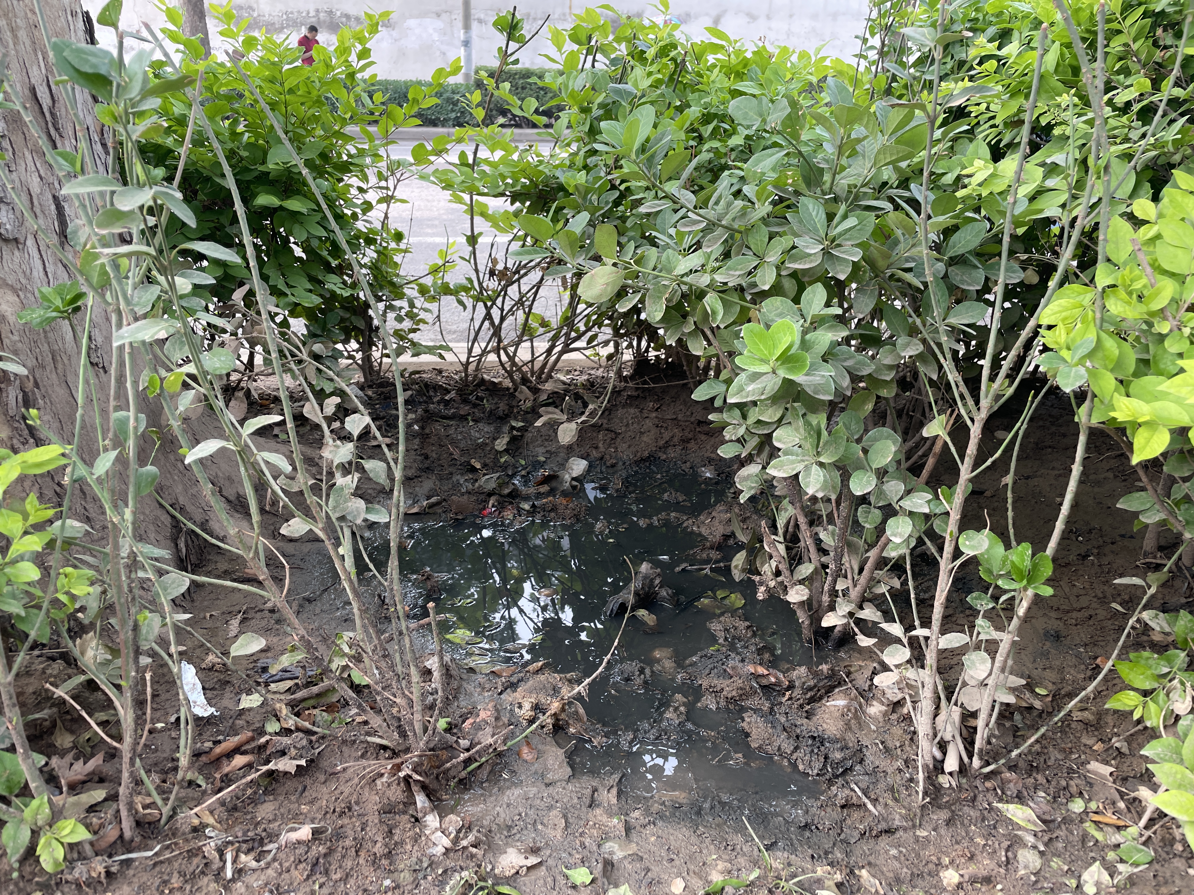 餐饮污水不乱倒 环境卫生靠大家