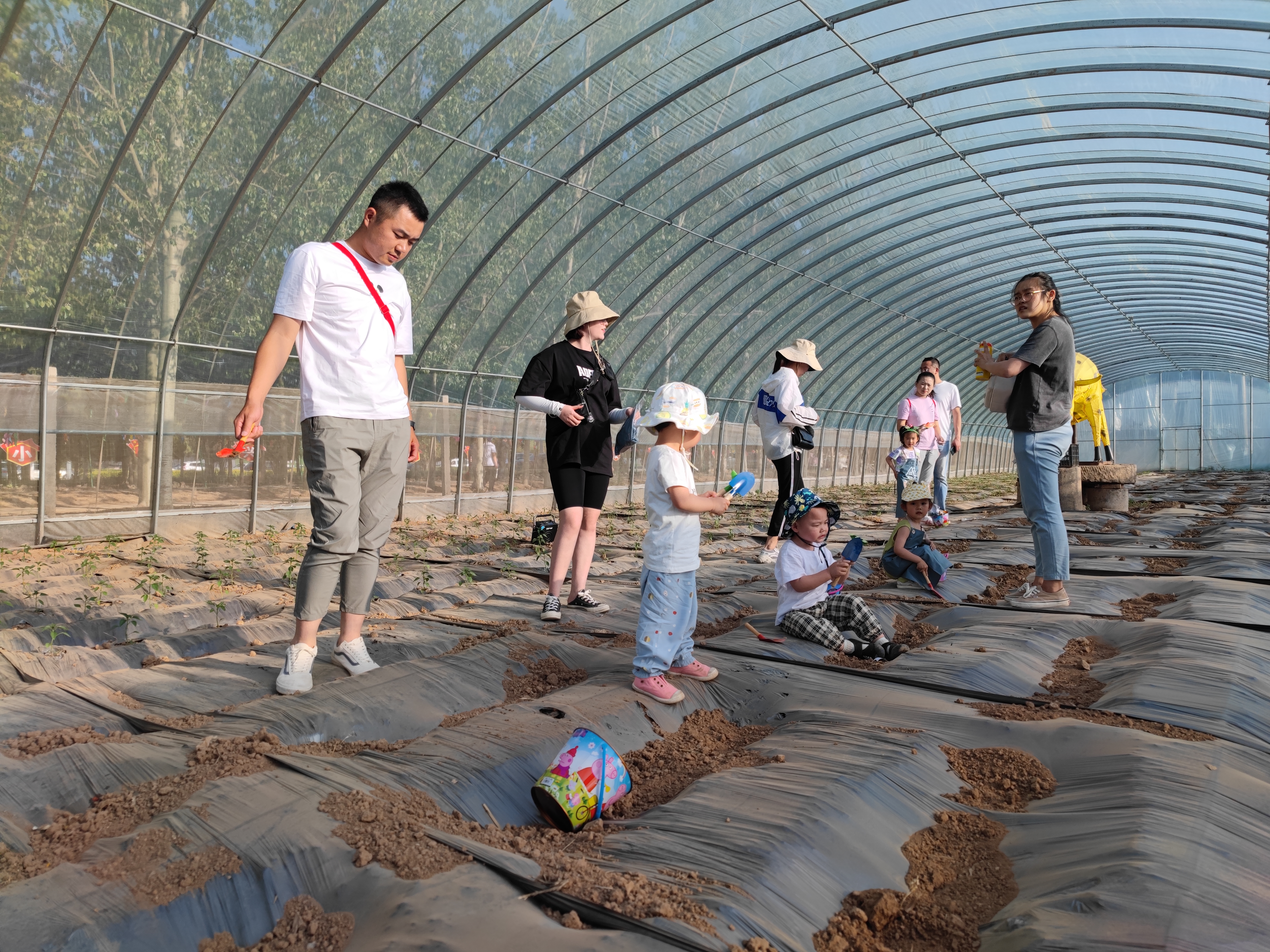 走进“疯狂农场” 体味田园生活
