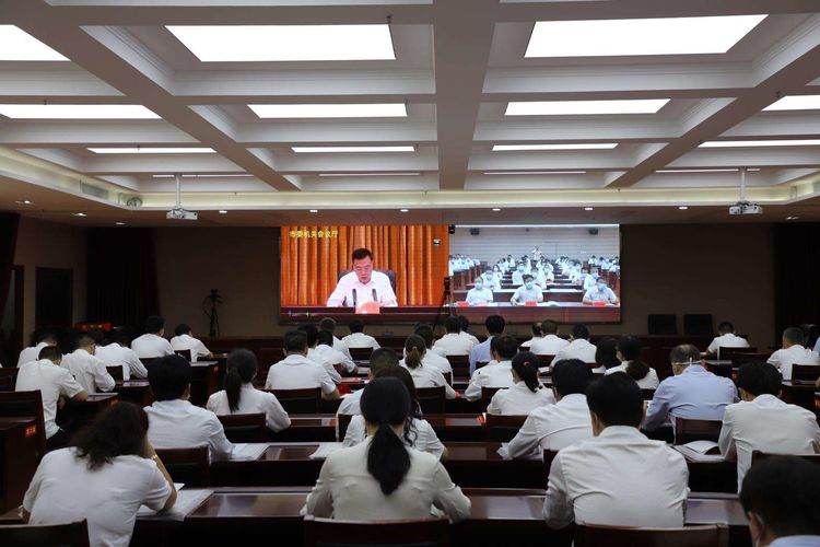 我区组织收听收看全市“两优一先”表彰电视电话会议
