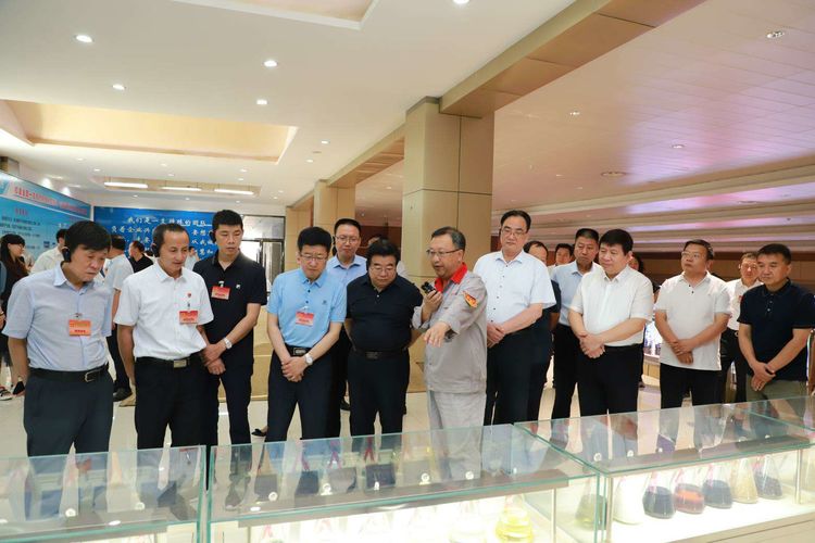 山西省全国人大代表在我区调研战略性新兴产业发展情况