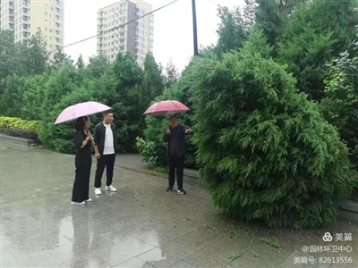 区园林环卫中心工作人员在南华公园实地查看防汛工作