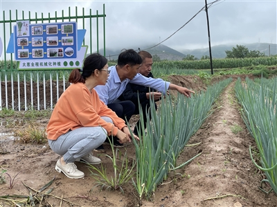 田间地头出实招 打好防汛“主动仗”