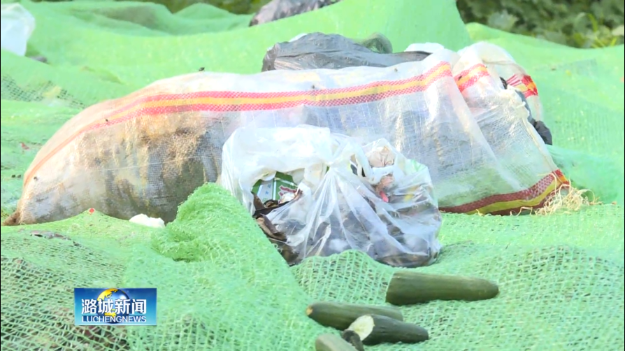乱扔垃圾时有发生 环境整治迫在眉睫