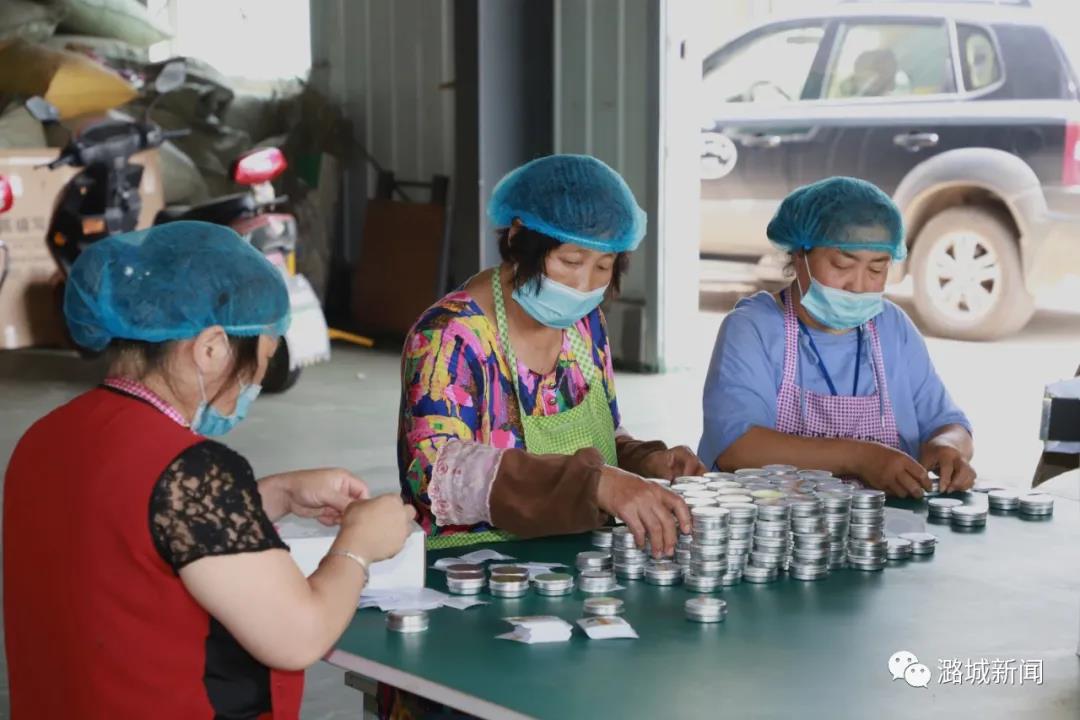 艾草飘香产业兴