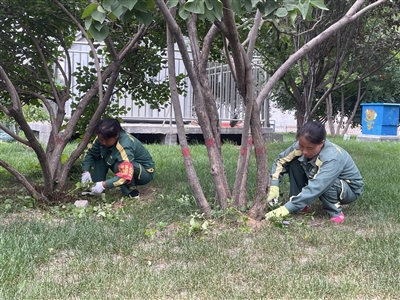 加快治理小街巷