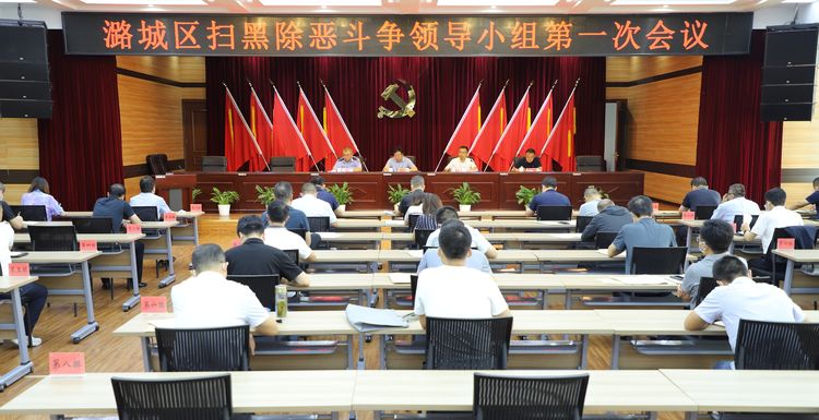 区扫黑除恶斗争领导小组第一次会议召开