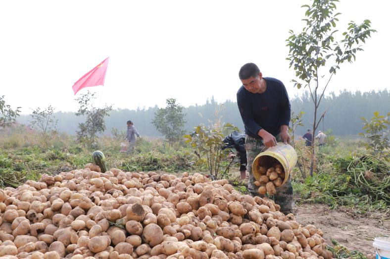 乡村振兴 | 长治潞城史回镇：“福利田” 结出“幸福果”