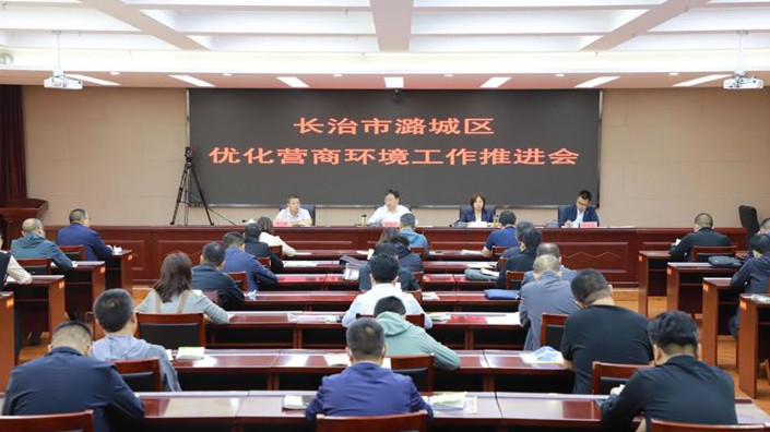 我区召开优化营商环境工作推进会