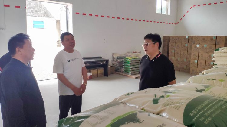 秦苏良调研粮食安全工作