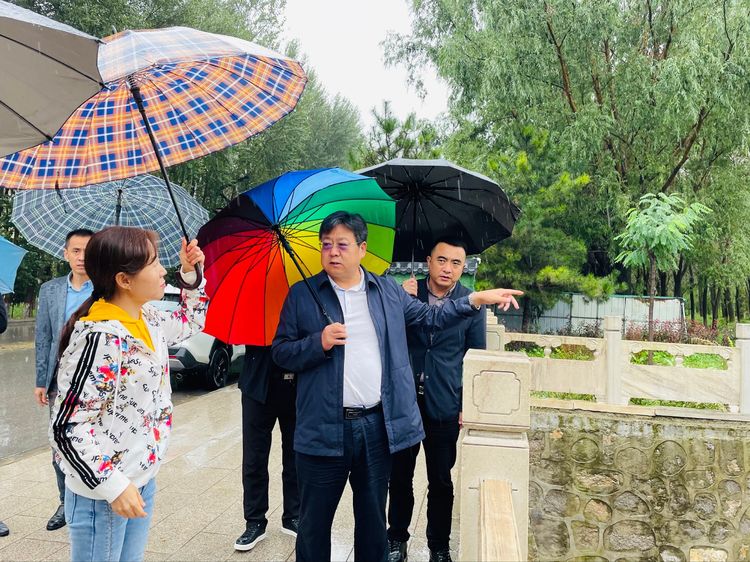 秦苏良实地察看我区防汛工作情况