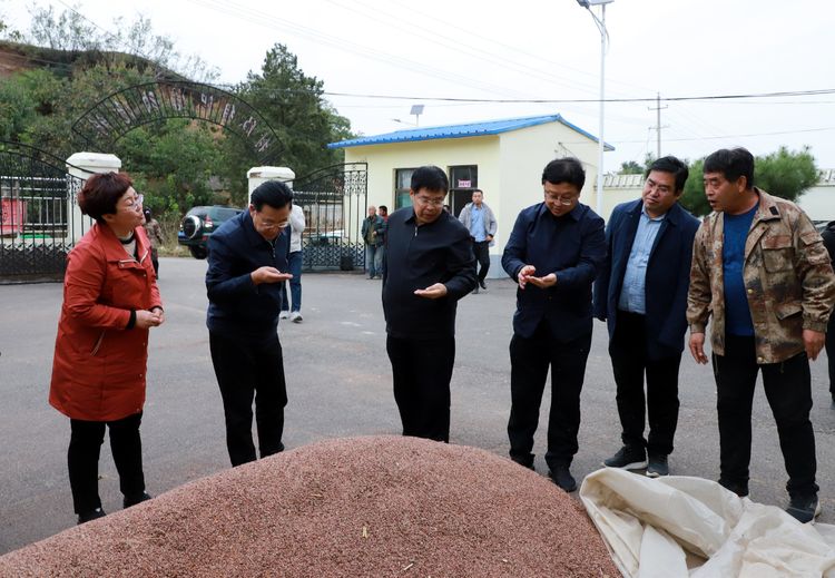 郜双庆检查指导我区防汛救灾工作并看望慰问受灾群众