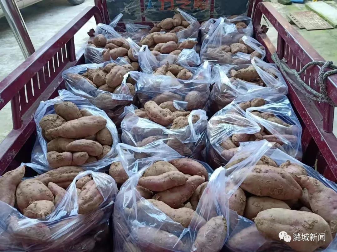 快！抢收秋粮！