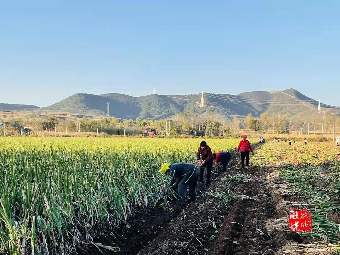 电商时代赋能新农人