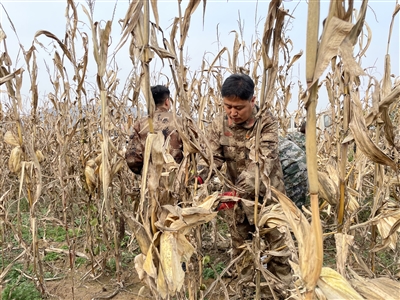 黄牛蹄乡：基层一线办实事 抢收重建暖民心