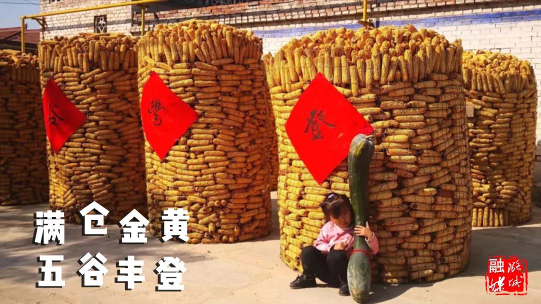 【图说•丰收】秋收粮丰 五谷飘香