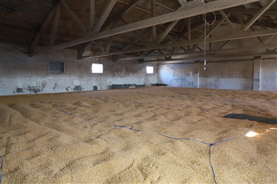 智能粮仓 确保粮食粒粒安全