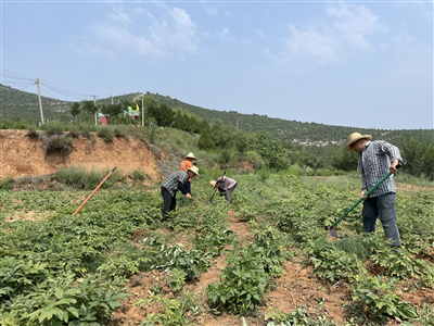 蔚佳领：“绿色经济”红利来