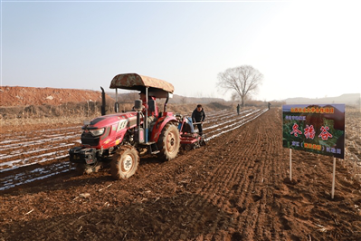 五块试验田——五名青年党员试种“冬播谷子”小记 