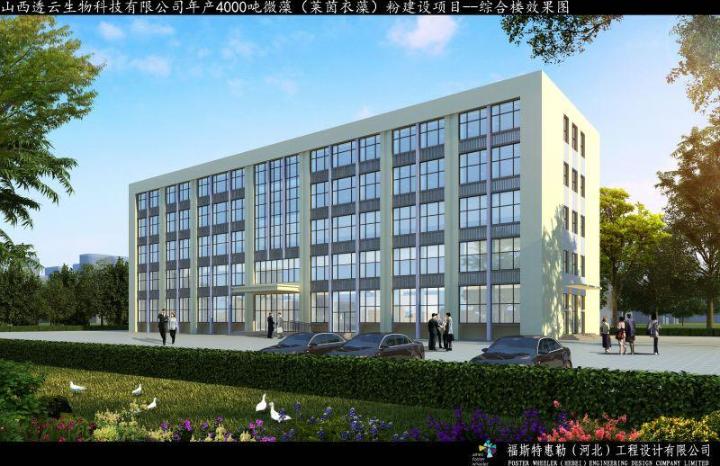 2021年项目建设表  