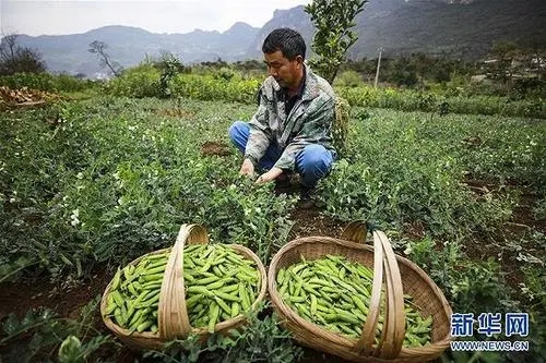 ​精准对接方能帮扶到位 