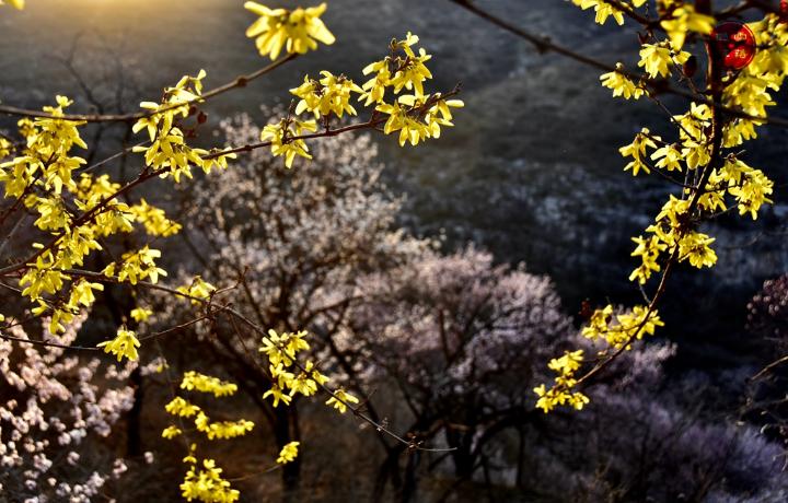 诗说潞城风光之微子清风