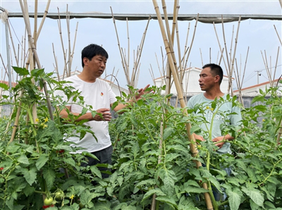 王敏：“80后”书记的铮铮誓言