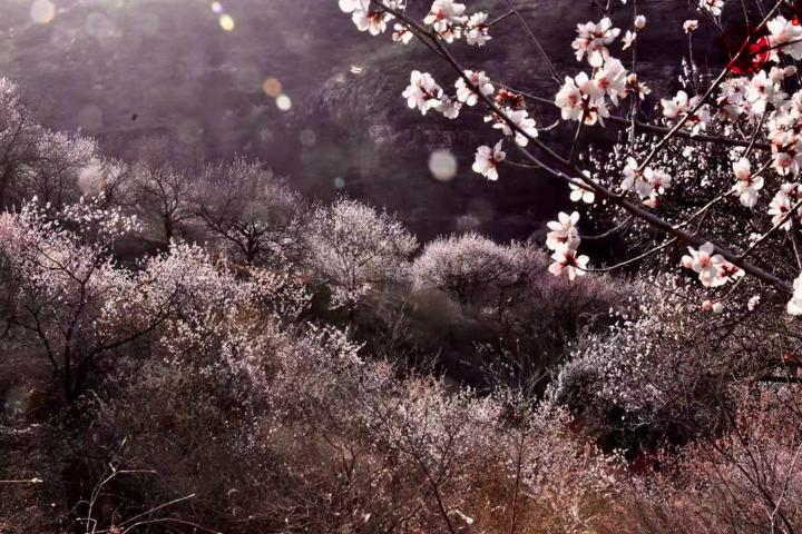 诗说潞城风光之圣塔倩影