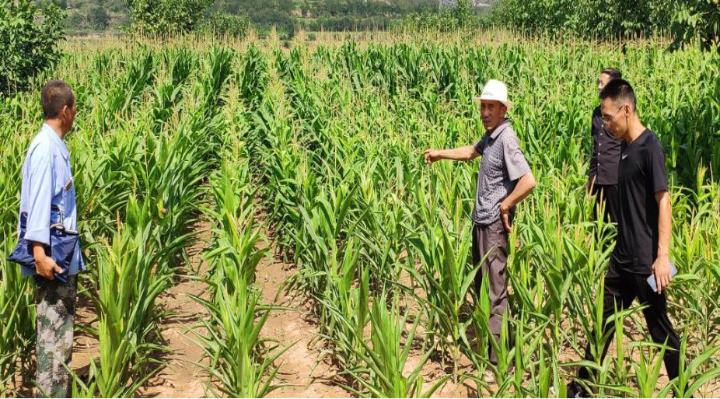 砥砺前行立志脱贫