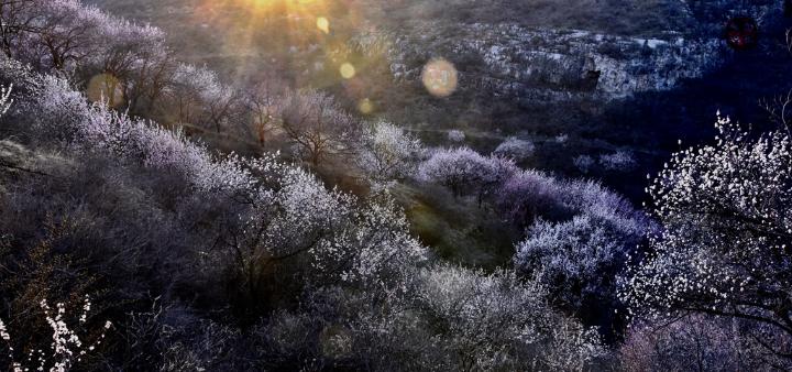 诗说潞城风光之三垂名冈