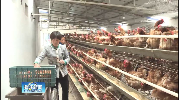 身残志坚  创业增收