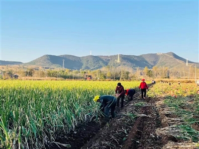 绘就乡村振兴新画卷 ——潞城区乡村振兴工作纪实