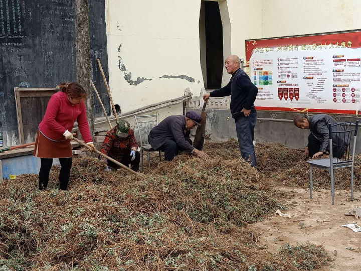 以“艾”为名  发展健康农业