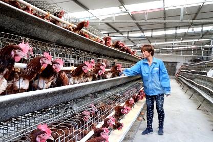 身残志坚  拼搏创业