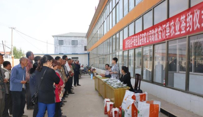 合室乡产业扶贫出实招