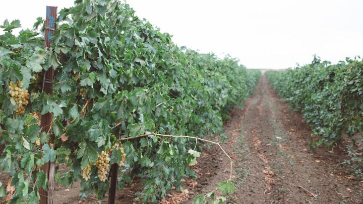 砥砺前行 立志脱贫