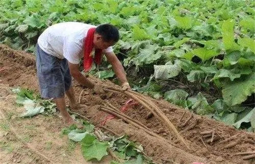 带着感情真帮扶带着担当办实事