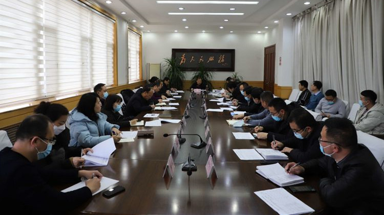 全区项目前期手续办理推进会议召开